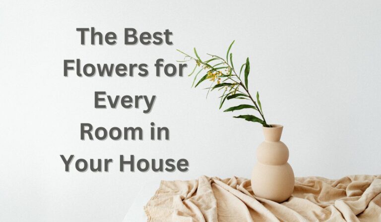 The Best Flowers for Every Room in Your House